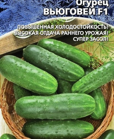 Огурцы Уральский дачник Тор31784 .1 - купить по выгодным ценам в ...