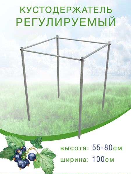 Кустодержатель регулируемый сборный 80х100х80 для смородины, крыжовника ...
