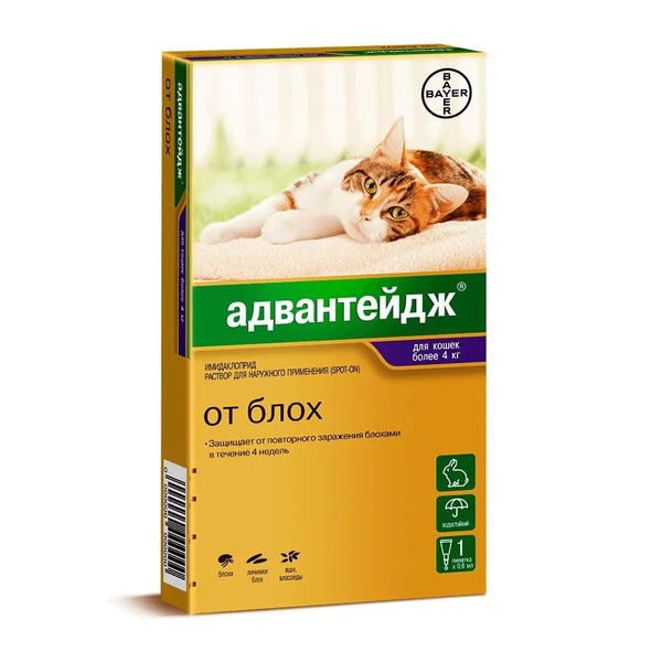 Капли Адвантейдж 80 К для кошек больше 4 кг 1 пипетка - купить с ...