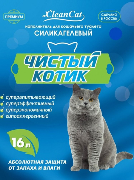 Чистый котик стерлитамак
