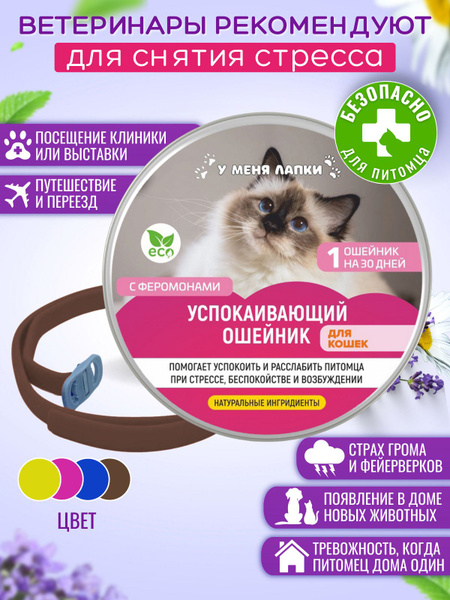 Ошейник успокаивающий для кошек и котят - купить с доставкой по ...