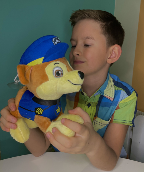 Мягкая игрушка щенок Гонщик 20 см Plush Toys/синий щенок щенячий ...