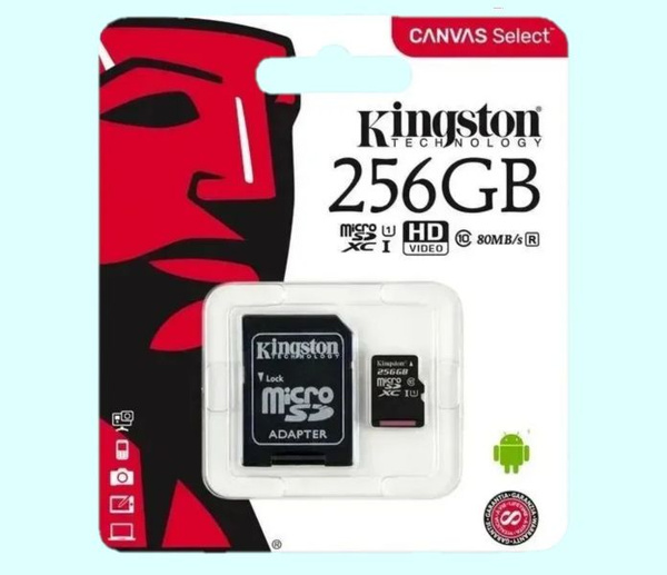 Карта памяти microSD 256 ГБ / microSDHC Canvas 256 ГБ / Карта ...