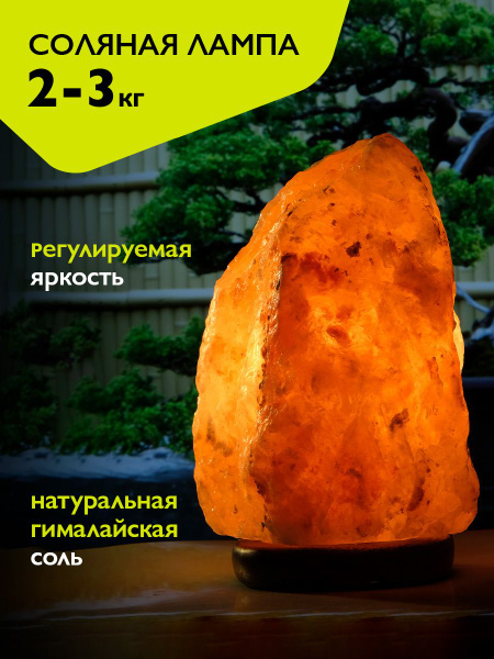 Соляная / солевая лампа из гималайской соли ФAZA 2-3 кг SL-23 купить на ...
