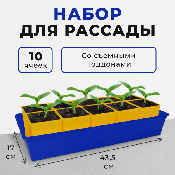 Набор для рассады, цветов (+ ящик), кассеты для рассады с поддоном (10 ...