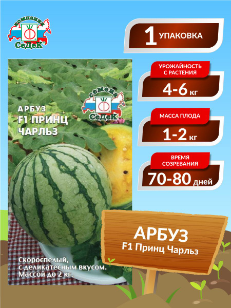 Арбуз Седек Арбуз - купить по выгодным ценам в интернет-магазине OZON ...