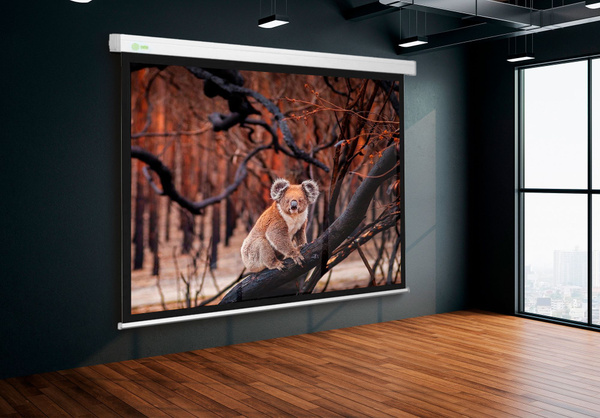 Экран Cactus 168x299см Wallscreen CS-PSW-168x299 16:9 настенно ...