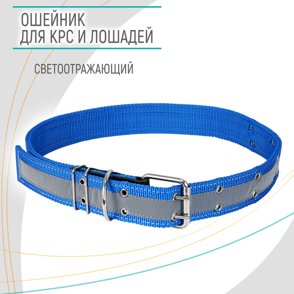 Ошейник для лошадей и КРС / ZooMoDa . - купить с доставкой по выгодным ...