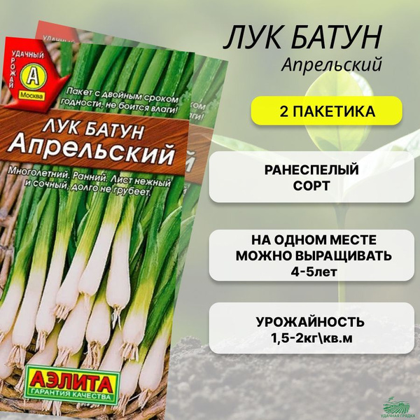 Лук Агрофирма Аэлита лук зеленый - купить по выгодным ценам в интернет ...