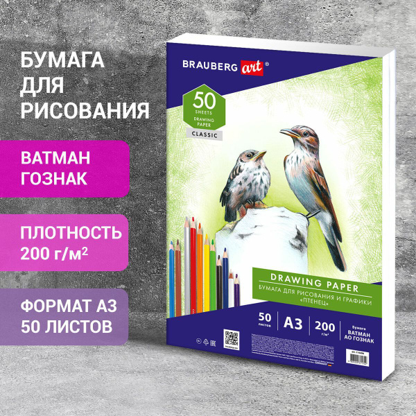 Brauberg Бумага для рисования A3 (29.7 × 42 см), 50 лист., шт - купить ...