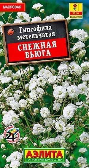 Гипсофилы многолетние Аэлита Цветы Мир семян_1_белый - купить по ...