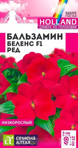 Бальзамины комнатные Семена Алтая Бальзамины комнатные - купить по ...
