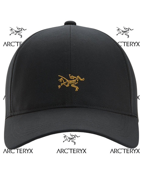 Бейсболка Arcteryx - купить с доставкой по выгодным ценам в интернет ...