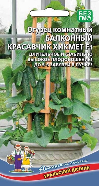 Огурцы Уральский дачник Огурец для балконов Красавчик хикмет F1_1 ...