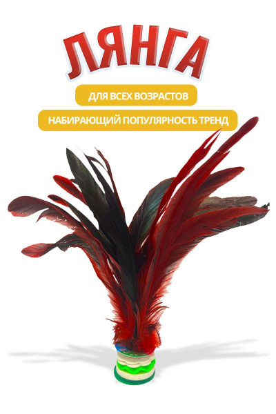 Игрушка Сокс футбэг с пером, подвижная игра с воланом для детей и ...