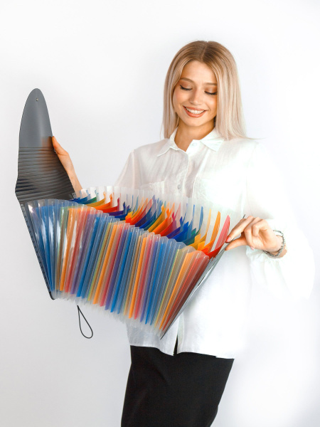 Папка для документов А4 на резинке, 24 ячейки-отделения, органайзер для ...