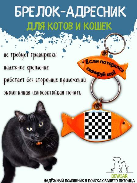 Адресник для кошек, с QR кодом - купить с доставкой по выгодным ценам в ...