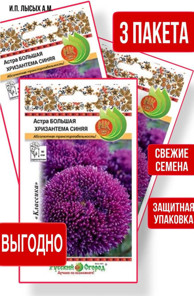 Русский огород Астра Большая хризантема синяя_3 - купить по выгодным ...