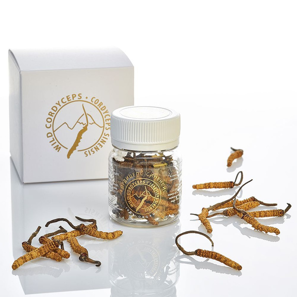 Кордицепс CORDYPOWER, 5 грамм / Гриб сушеный, натуральный / Королевство ...