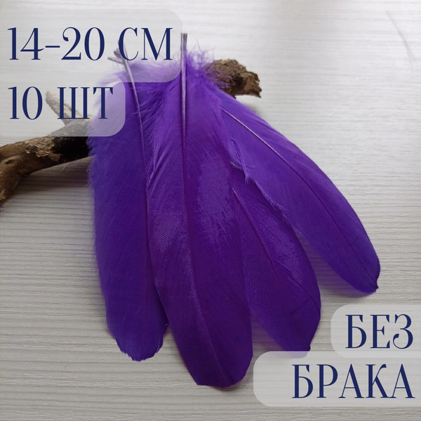 Гусиные перья для творчества и рукоделия. Фиолетовые. 10 шт. 10-20 см ...