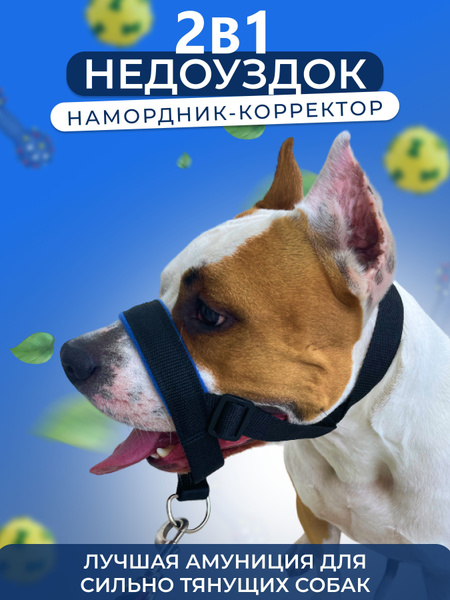 Намордник для собак недоуздок амуниция - купить с доставкой по выгодным ...