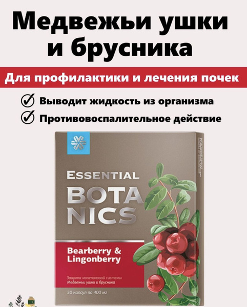 Мочегонный противовоспалительный урологический комплекс Медвежьи ушки и ...