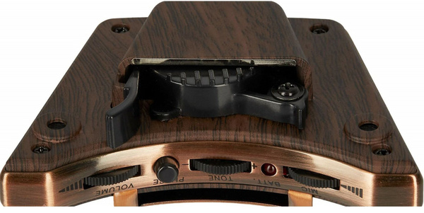 Звукосниматель GUITTO GGP-01 - купить с доставкой по выгодным ценам в ...