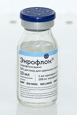 Энрофлон 10% 10 мл оральный - купить с доставкой по выгодным ценам в ...
