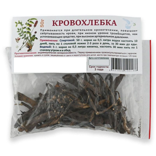 Файл:Sanguisorba officinalis.jpg - Википедия