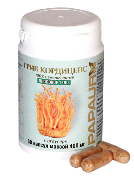 PAPAUR. Гриб Кордицепс измельчённый 100%. Плодовое тело. 60 капсул по ...