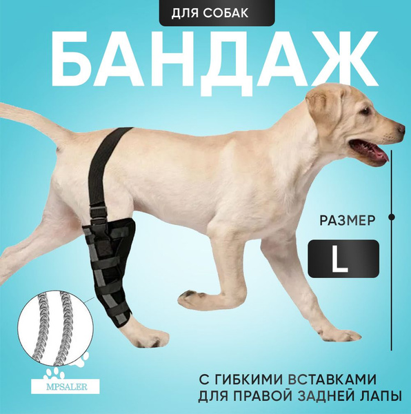 Бандаж на коленный сустав, фиксатор колена для собак. На правую лапу, с ...