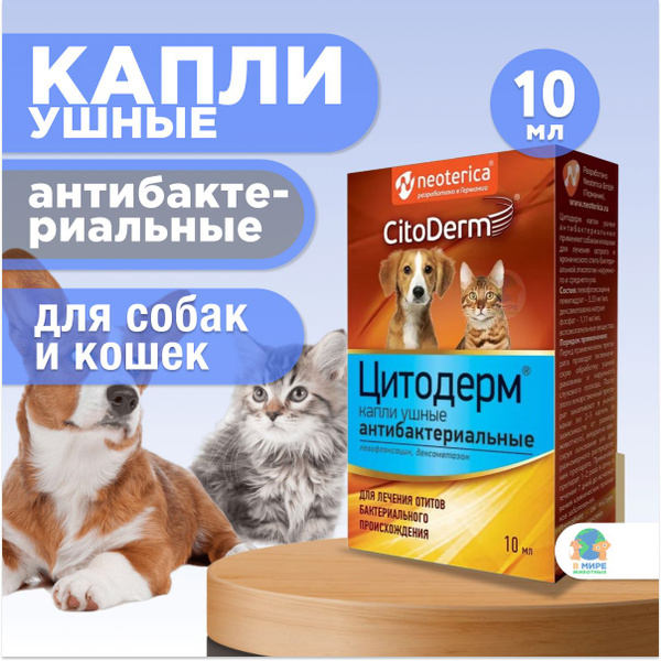 Капли ушные Цитодерм антибактериальные, для кошек и собак, 10 мл ...