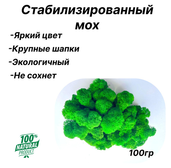 Стабилизированный мох FreshMoss Мох, 100 гр купить по выгодной цене в ...