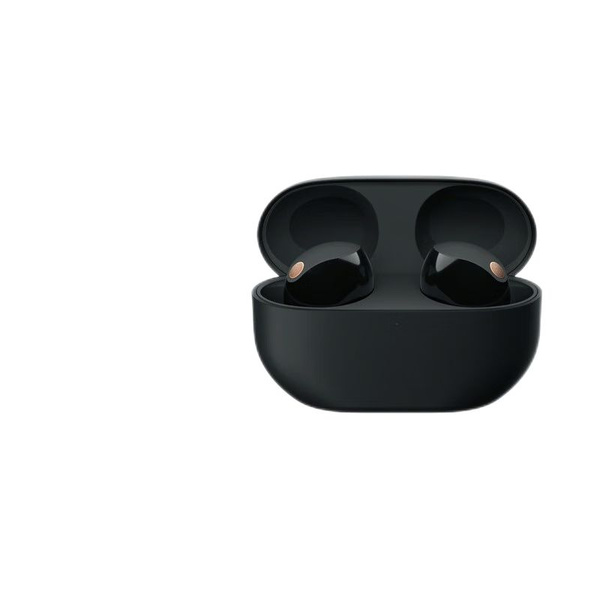 Наушники Внутриканальные Sony WF-1000XM5 True Wireless Bluetooth ...