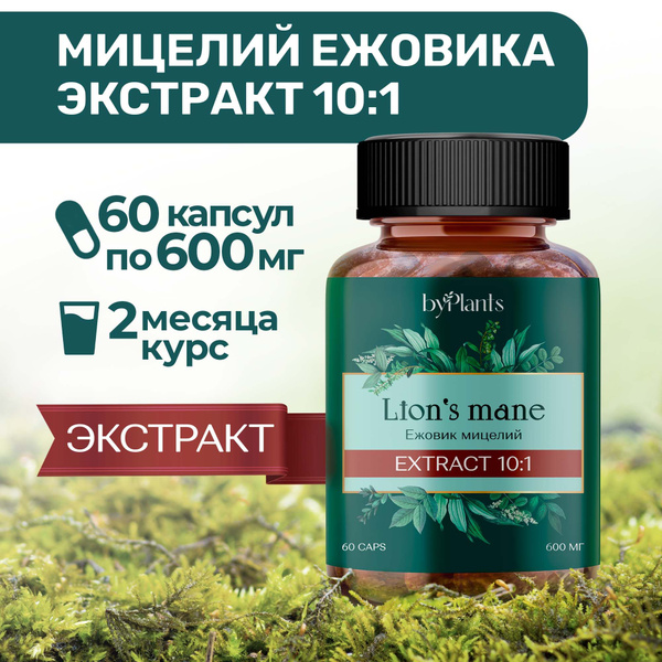 Мицелий ежовика гребенчатого экстракт (10 к 1) в капсулах 60 шт. купить ...