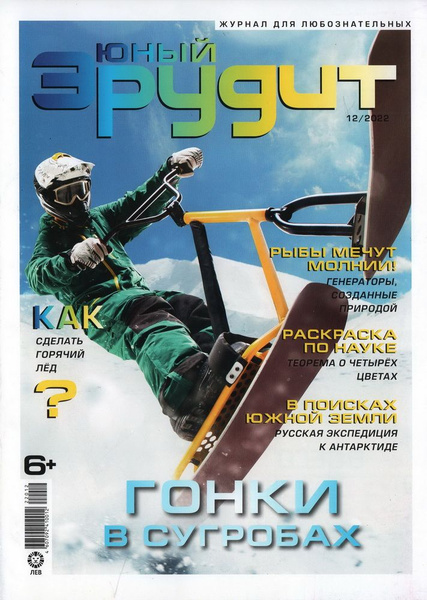 Электронный журнал эрудит