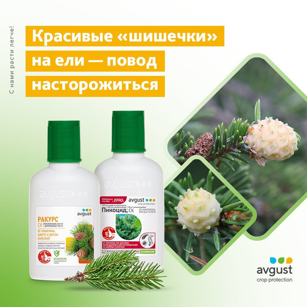 Средства для защиты хвойных и лиственных растений от болезней и ...
