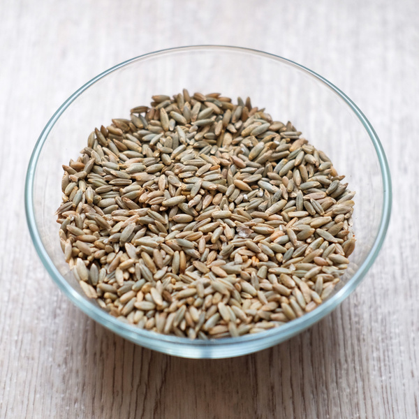 Зерно рожь посевная сидерат - купить по выгодным ценам в интернет ...