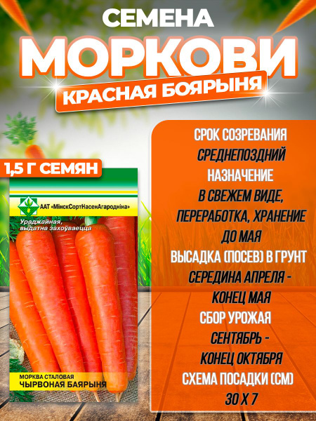 Морковь МинскСортСемОвощ Овощи_Морковь Красная Боярыня - купить по ...