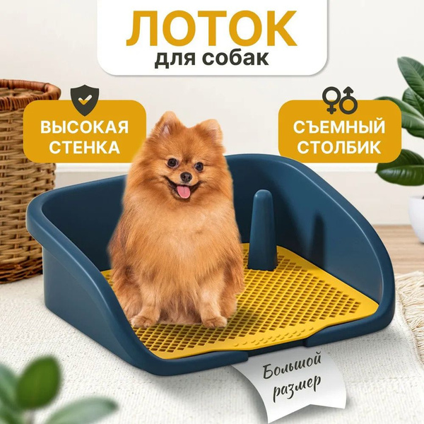 Система приучения кошек к унитазу - купить с доставкой по выгодным ...
