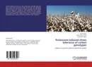 Potassium-induced stress tolerance of cotton genotypes - Aneel Kumar,Zia-ul-hassan Shah and Inayatullah Rajpar