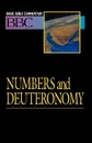 Basic Bible Commentary Numbers and Deuteronomy Volume 3 - Abingdon Press, Lynne M. Deming
