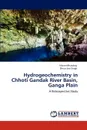 Hydrogeochemistry in Chhoti Gandak River Basin, Ganga Plain - Vikram Bhardwaj, Dhruv Sen Singh