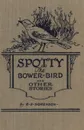 Spotty the Bower Bird. and other nature stories - Edward  S. Sorenson