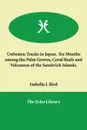 Unbeaten Tracks in Japan.  Six Months among the Palm Groves, Coral Reefs and Volcanoes of the Sandwich Islands. - Isabella L Bird