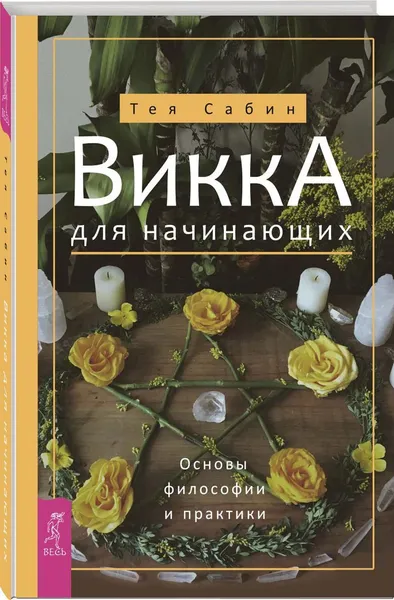 Обложка книги Викка для начинающих. Основы философии и практики, Сабин Тея