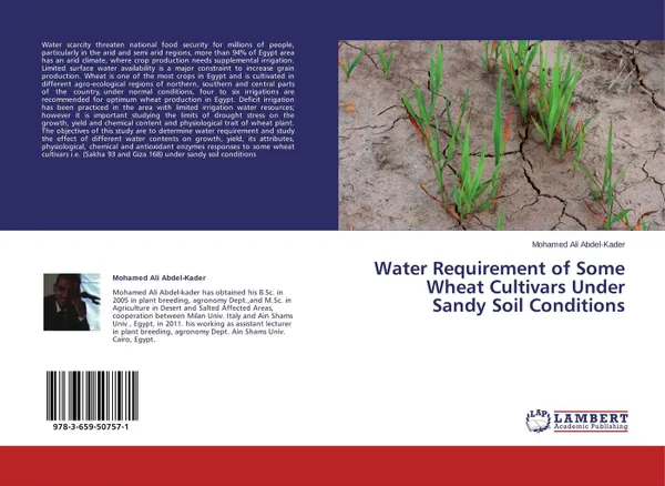 Обложка книги Water Requirement of Some Wheat Cultivars Under Sandy Soil Conditions, Mohamed Ali Abdel-Kader