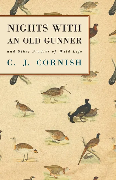 Обложка книги Nights With an Old Gunner and Other Studies of Wild Life, C. J. Cornish