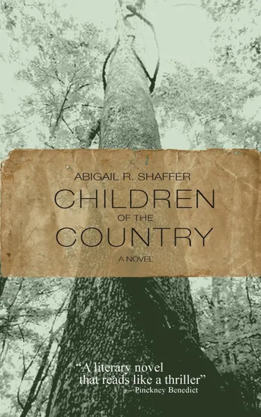 Обложка книги Children of the Country, Abigail R. Shaffer