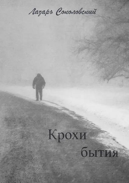 Обложка книги Крохи бытия, Лазарь Соколовский